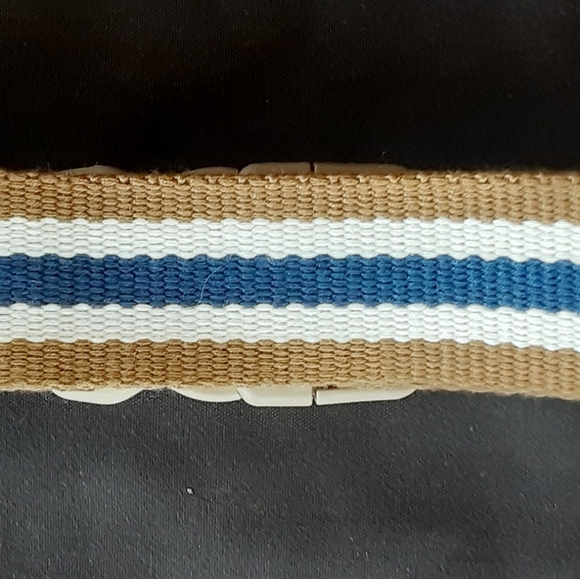 Striped Dog Collars - Picture 2 of 2